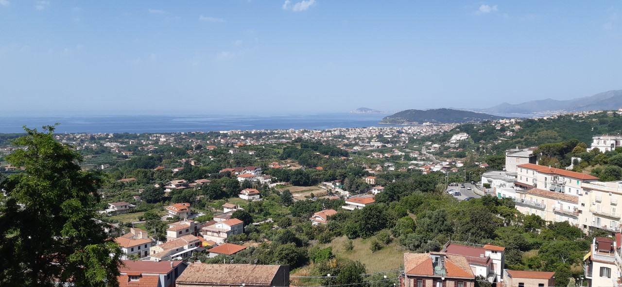 Al momento stai visualizzando VADEMECUM VACANZE: OCCHIO ALLE TRUFFE!
