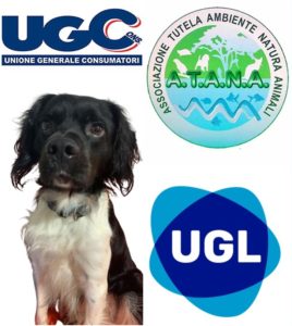 Scopri di più sull'articolo No ai fuochi pirotecnici, UgCons capofila a Caserta